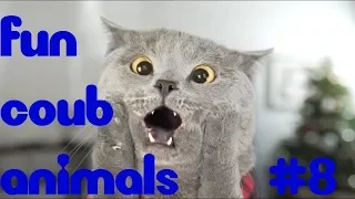 FUN coub animals #8 / видеоприколы / coub 2018 / животные / смешные животные / приколы 2018