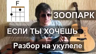 Антон Мизонов - разбор укулеле кавера Зоопарк - Если ты хочешь