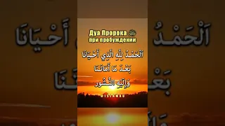 Дуа Пророка ﷺ после пробуждения ото сна