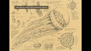 Evolving Brains: Solid, Liquid and Synthetic