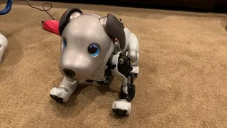 Why Do aibo ERS-1000 Legs Fail?  Repairing a Hip Dislocation