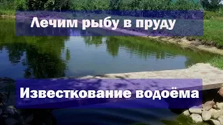 Известкование пруда с рыбой. Пруд на даче. Как вносить известь в пруд. Зачем известь в пруду.