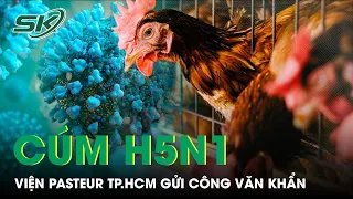 Campuchia Có Ca Tử Vong Do Cúm H5N1, Viện Pasteur TP.HCM Gửi Gông Văn Khẩn | SKĐS