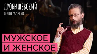 Как выглядят половые различия у обезьян и предков человека? // Дробышевский. Человек разумный