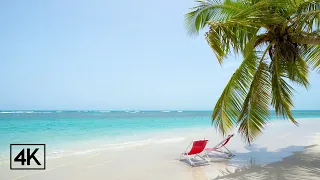 [4K] 🇩🇴 Beach & Relax | Serene Ocean Waves Sounds for Sleep, Insomnia, Study or Work | 8 hours