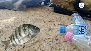 صيد السمك بطريقه رائعه /صيد الأسماك  بدون قصبة صيد ولا شبكة