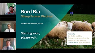 Bord Bia Sheep Farmer Webinar