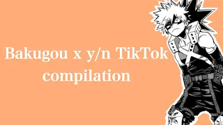 Bakugou x y/n TikTok compilation