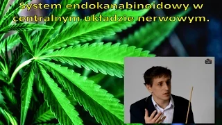 Maciej Winiarski - System endokanabinoidowy w centralnym układzie nerwowym.