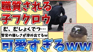 【2ch動物スレ】警察官に職務質問されるフクロウの赤ちゃんが可愛すぎるｗｗｗ