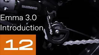 12-Roll Road Emma 3.0 Ebike Introduction-Why Single Speed Gear