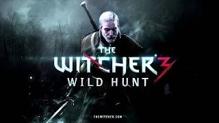 Witcher 3 New Game + (Easy) Simulating W2 Saves