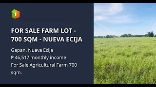 FOR SALE FARM LOT - 700 SQM - NUEVA ECIJA