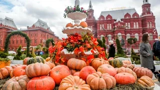 Фестиваль "Золотая Осень" в Москве // Golden Autumn Fest in Moscow