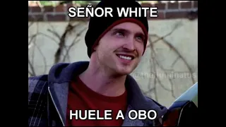 Todos los memes de Breaking Bad (QUESO - OBO - PERMATRAGO - UXIONO - CROTOLAMO)