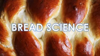 The Science of Bread (Part 2) - The Bread Making Process - Yeasted Bread