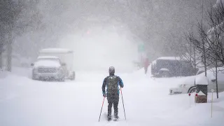 Record snowfall as Ottawa sees close to 50 cm during major blizzard