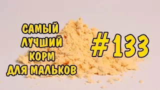 #133 САМЫЙ ЛУЧШИЙ КОРМ ДЛЯ МАЛЬКОВ. THE BEST FOOD FOR FRY