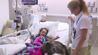 Therapy animals bringing joy to hospital patients