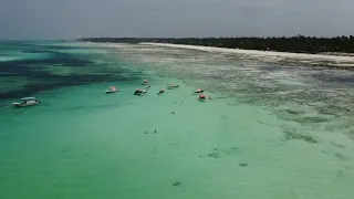 Zanzibar low tide on the beach  Pingwe