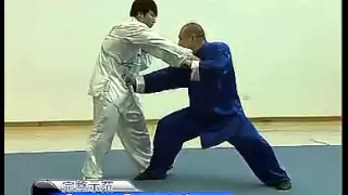 (Strike Techniques) 王战军 陈式太极拳实战技击之打法