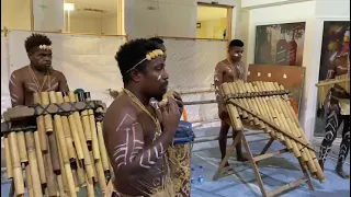 Solomon Islands Panpipers