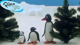 Pingu is Thankful  🐧 | Pingu - Official Channel | Cartoons For Kids