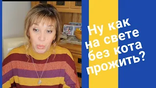 437. МОЯ ДОЧЬ БЕРЕМЕННА? ИЛИ БЕЗ КОТА И ЖИЗНЬ НЕ ТА..