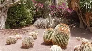 Oasis Park Fuerteventura