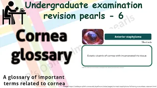 Cornea Glossary| Undergraduate examination revision pearls 6