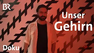 Das Gehirn - die wichtige Schaltzentrale: Aufbau, Funktion & Wesen | Sehen statt Hören | Doku | BR