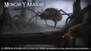 35 MOSCAS Y ARAÑAS