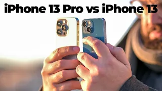 La COMPARATIVA de CÁMARAS!!! iPhone 13 / mini vs iPhone 13 Pro / Max