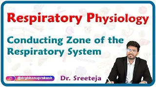 Conducting zone of the respiratory system : USMLE Step 1 Physiology