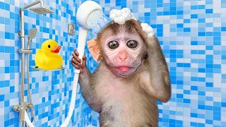 Baby Monkey Chu Chu Bathing In The Bath And Harvesting Fruit With Puppies
