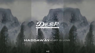 Haddaway - What is love | DDnB-Production