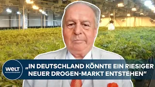 CANNABIS-LEGALISIERUNG: „In Deutschland könnte ein riesiger neuer Drogen-Markt entstehen“