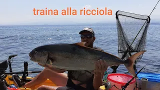 Kayak Fishing: Traina col vivo alla ricciola