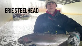 Best Way to Catch Ohio Winter Steelhead (Minnow Fishing)