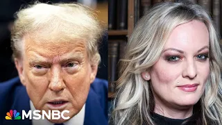 'Red herring': Stormy Daniels questioned by Trump's defense team on defamation case