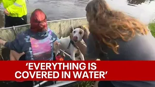 Hurricane Ian: Several dogs rescued from flooded Orlando home, blind senior dog still missing