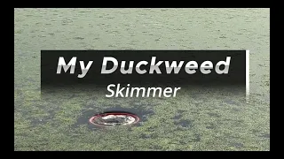 Removing Duckweed From Pond w/ Time-lapse