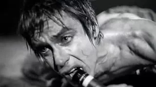 Iggy Pop & The Stooges - Gimme Danger - subtitulada