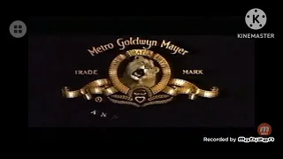 MGM Angry Lion Roaring To Hunt