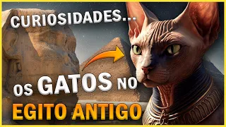 GATOS no EGITO ANTIGO, a História dos Gatos, MISTÉRIOS e MITOS do EGITO.