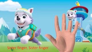 Finger Family Song Paw Patrol | Chase, Skye, Marshall, Everest and Rubble