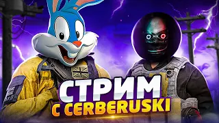 РАЗВАЛИВАЕМ ПАБЛИК С @Cerberuski В CALL OF DUTY MOBILE