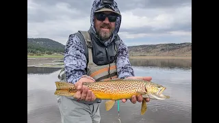 A few EPIC days of fly fishing for big healthy trout at Panguitch Lake, UT