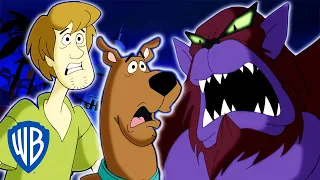 Scooby-Doo! | How To Catch El Chupacabra | WB Kids