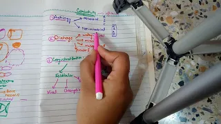 BACTERIAL CONJUNCTIVITIS part 1 MUCOPURULENT CONJUNCTIVITIS in easiest way